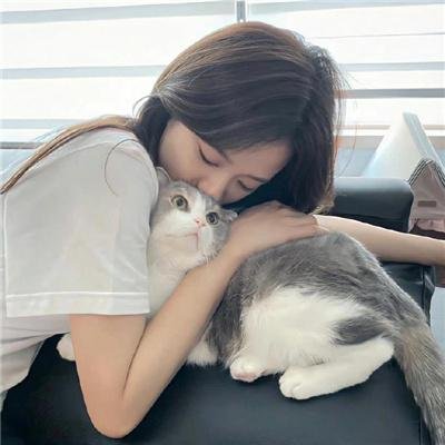 四条生命